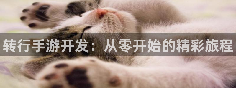 三牛娱乐测速系统官网：转行手游开发：从零开始的精彩旅程
