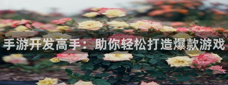 三牛娱乐登录：手游开发高手：助你轻松打造爆款游戏