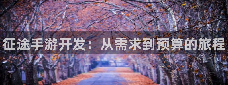 三牛娱乐是网络诈骗平台吗：征途手游开发：从需求到预算的旅程