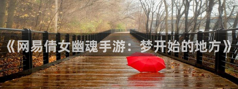 三牛娱乐哪里去了：《网易倩女幽魂手游：梦开始的地方》