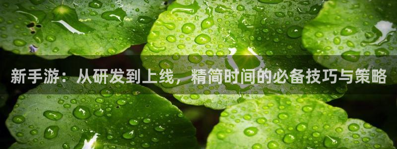三牛娱乐负责人