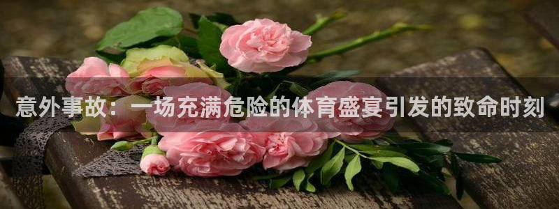 vsport体育：意外事故：一场充满危险的体育盛宴引发的致命时刻