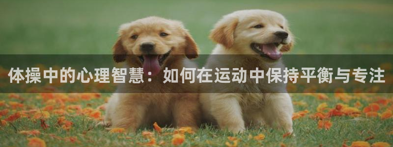 vsport体育在线官网：体操中的心理智慧：如何在运动中保持平衡与专注