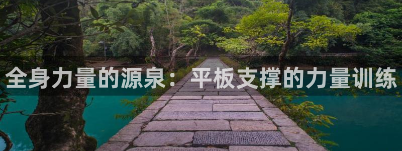 vsport体育在线官网：全身力量的源泉：平板支撑的力量训练
