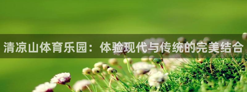 vsport体育在线官网：清凉山体育乐园：体验现代与传统的完美结合
