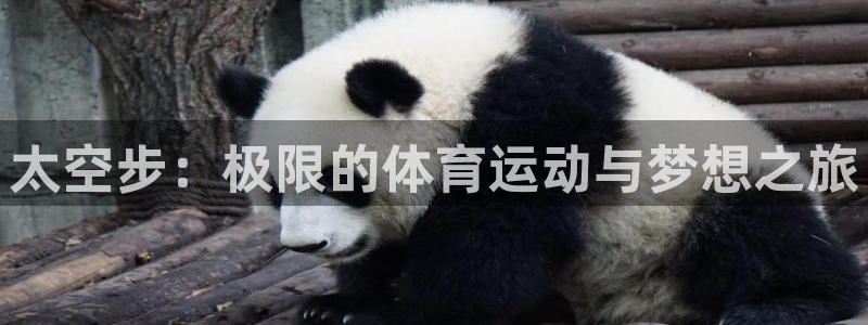 vsport体育在线官网：太空步：极限的体育运动与梦想之旅