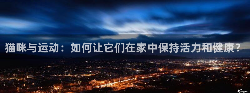 vsport体育：猫咪与运动：如何让它们在家中保持活力和健康？
