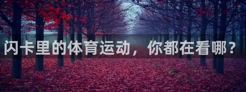 vsport体育在线官网：闪卡里的体育运动，你都在看哪？