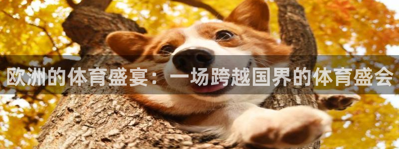 vsport体育：欧洲的体育盛宴：一场跨越国界的体育盛会