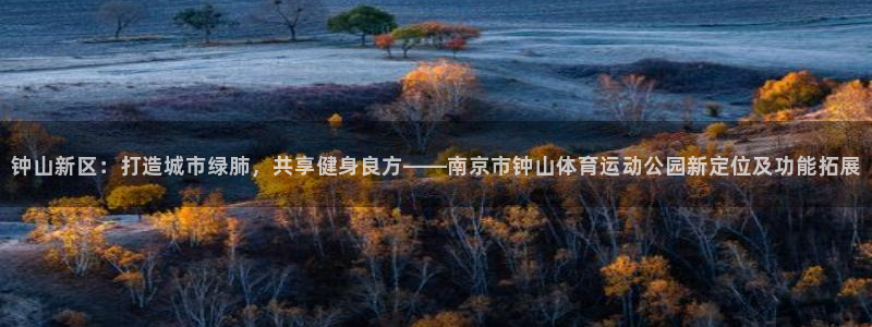vsport体育在线官网：钟山新区：打造城市绿肺，共享健身良方——南京市钟山体育运动公园新定位及功能拓展
