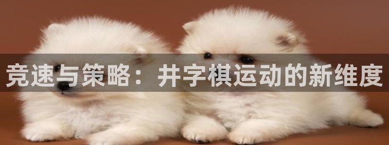 vsport体育在线官网：竞速与策略：井字棋运动的新维度