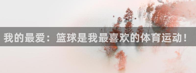 vsport体育在线官网：我的最爱：篮球是我最喜欢的体育运动！